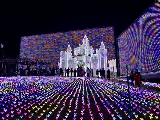 Ashikaga Flower Park by null
