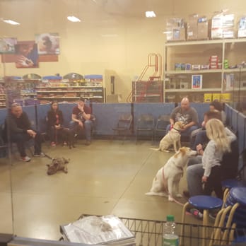 PetSmart - Pet Training Near Me - Florence, Kentucky PetSmart - Pet Training Near Me - Florence, Kentucky