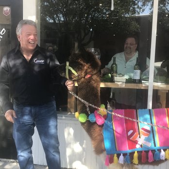 Cassaro Winery - Owner John Matthews with a llama who happened to drop by! - Wine Tasting Room Near Me - Corsicana, Texas Cassaro Winery - Owner John Matthews with a llama who happened to drop by! - Wine Tasting Room Near Me - Corsicana, Texas