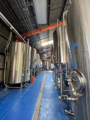 Tortugo Brewing Company by null