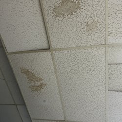 Roller Land - The ceiling