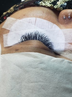 Virtue Lash by null