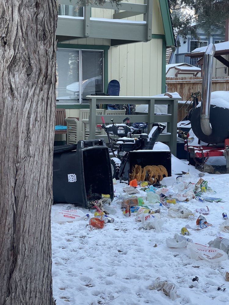 ALL STAR CARPET CLEANING Big Bear Lake, California Carpet Cleaning