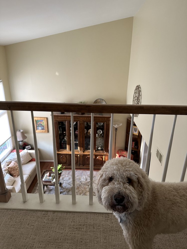 GIO’S PRO PAINTING Updated September 2024 3632 Cottesmore Dr, High