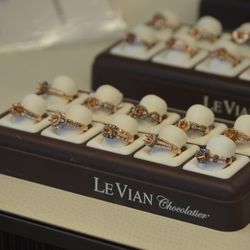 Jared the Galleria of Jewelry - Photos from a Levian Show in 2016