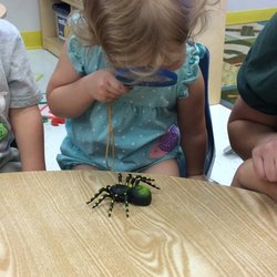 Cadence Academy Preschool