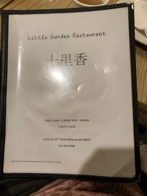 Little Garden by null