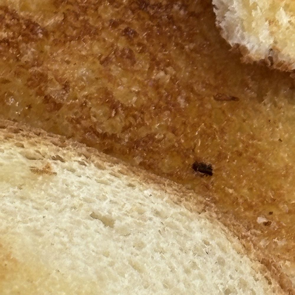 Roys Cafe - Bread - Cafes Near Me - Barstow, California Roys Cafe - Bread - Cafes Near Me - Barstow, California