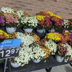 Walmart Supercenter