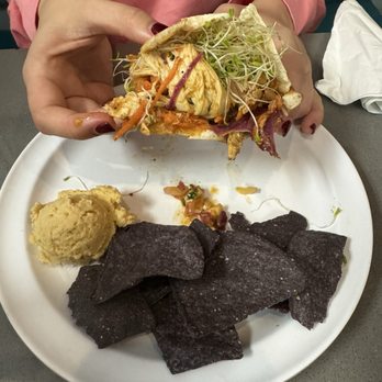 Manatee Cafe - Breakfast & Brunch Near Me - Saint Augustine, Florida