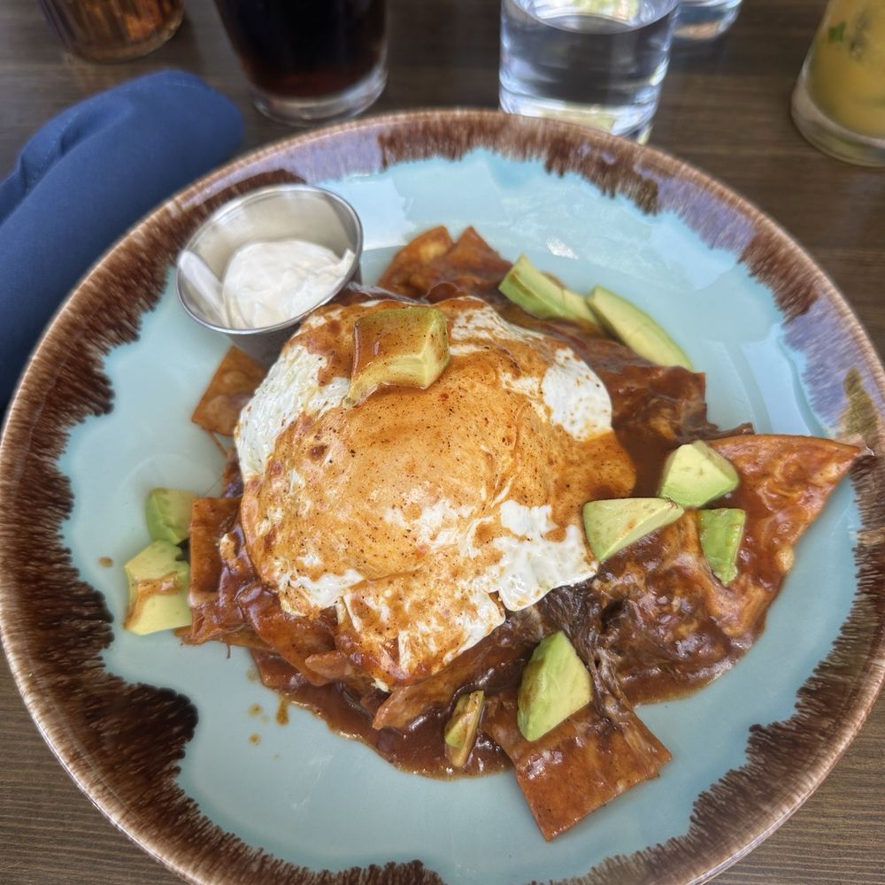 Bosscat Kitchen & Libations - Beef Chilaquiles with an egg - Bars Near Me - Orange, California Bosscat Kitchen & Libations - Beef Chilaquiles with an egg - Bars Near Me - Orange, California