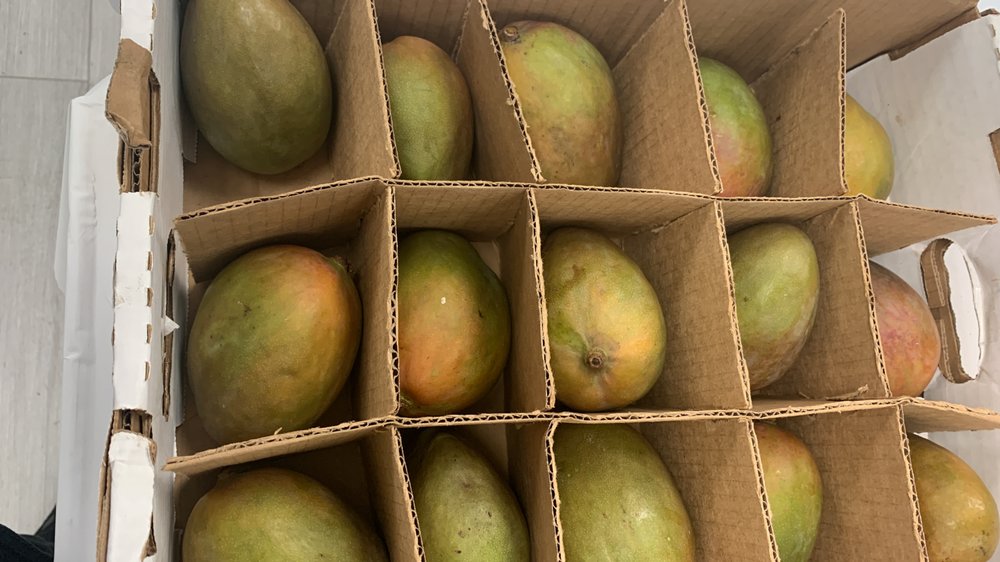 INDIA BAZAAR Updated October 2024 30 Photos 4514 118 Avenue NW, Edmonton, Alberta