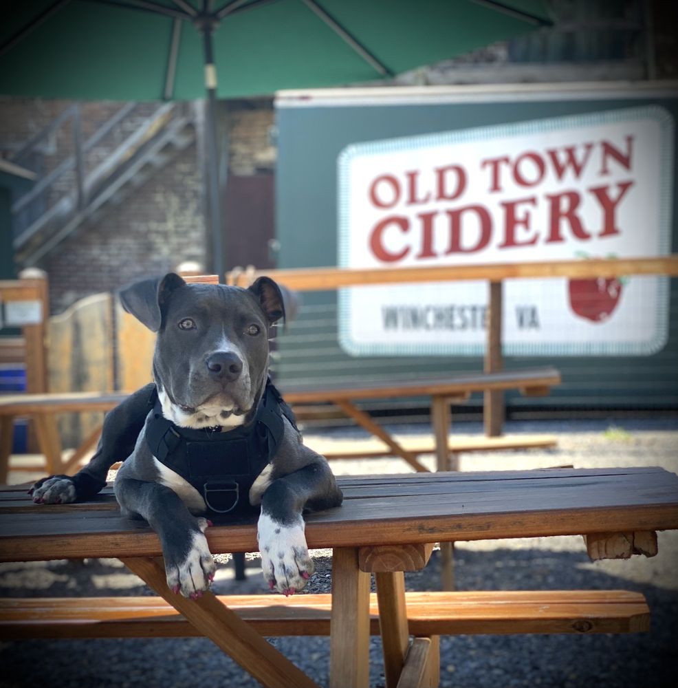 Old Town Cidery Logo
