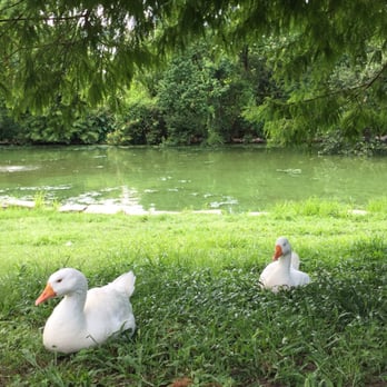 Audubon Park - Parks Near Me - New Orleans, Louisiana