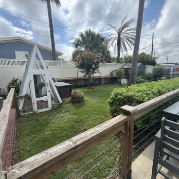 Freckleberry Tea & Coffee - Coffee & Tea Near Me - Galveston, Texas