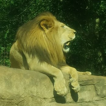 Greenville Zoo - Zoos Near Me - Greenville, South Carolina