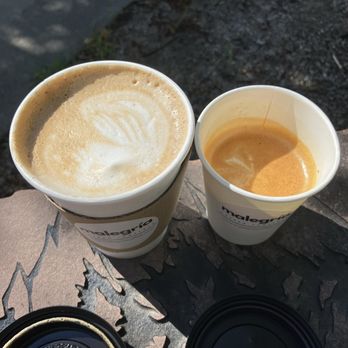 Malegría Coffee Roasters - Xoco and Cortado - Coffee & Tea Near Me - Fort Collins, Colorado Malegría Coffee Roasters - Xoco and Cortado - Coffee & Tea Near Me - Fort Collins, Colorado