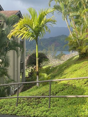 Hanalei Bay Resort by null