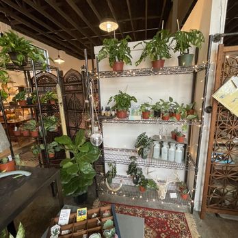 The Station Park Circle - Used, Vintage & Consignment Near Me - North Charleston, South Carolina