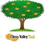 Photo of Citrus Valley Taxi