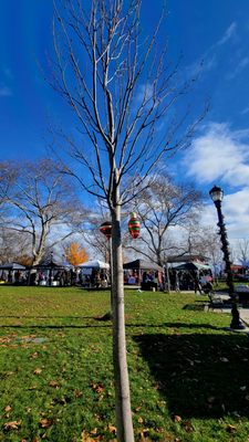 Riverview-Fisk Park by null