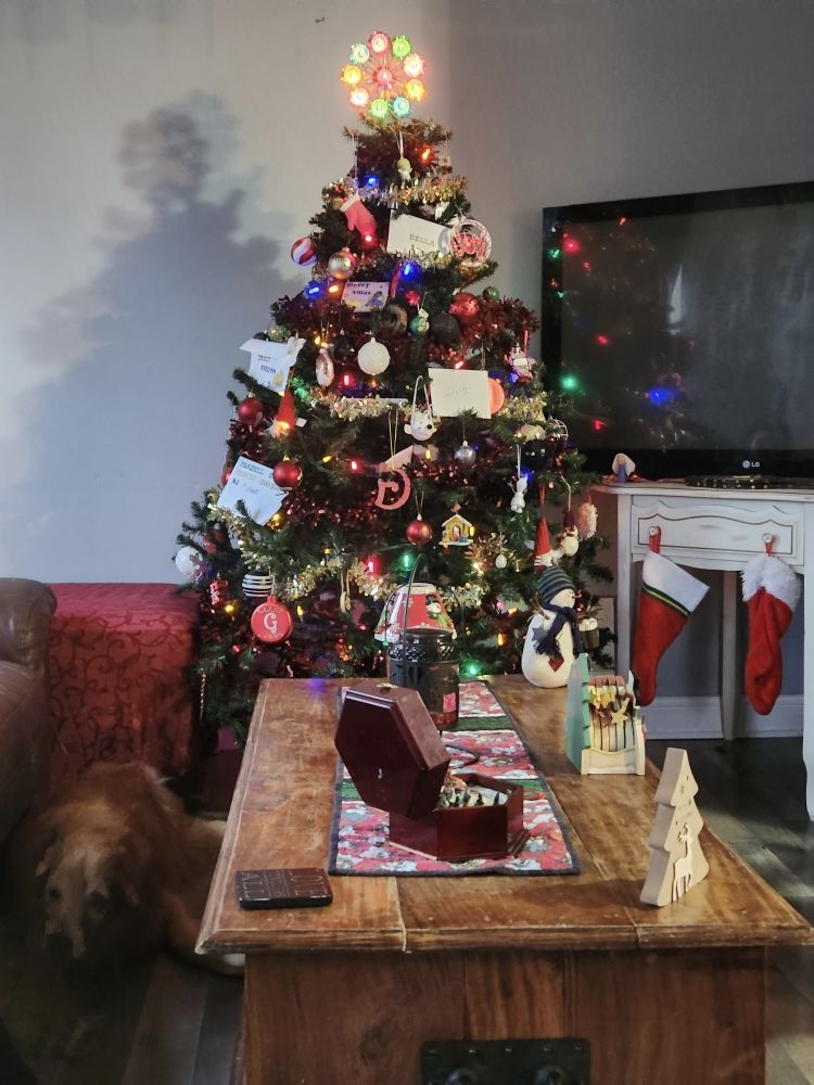 MORRISON’S CLEANING Updated October 2024 6858 Road 38, Verona