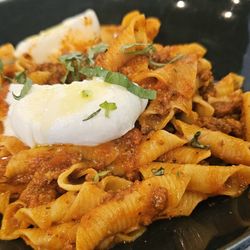 Lazy Lane - Burata bolognese