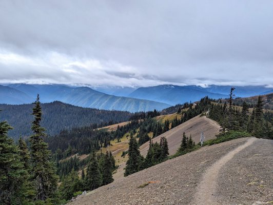 Hurricane Ridge by null