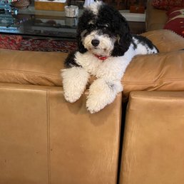 I'm NOT allowed on here!!!