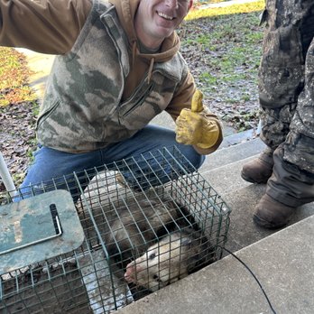 Lone Star Wildlife Solutions - Wildlife Control Near Me - Whitesboro, Texas Lone Star Wildlife Solutions - Wildlife Control Near Me - Whitesboro, Texas