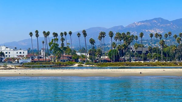 Santa Barbara Museum of Natural History Sea Center by null