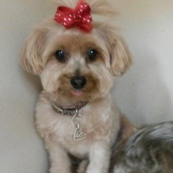 Millie's Dog World - Pet Groomers Near Me - Phoenix, Arizona