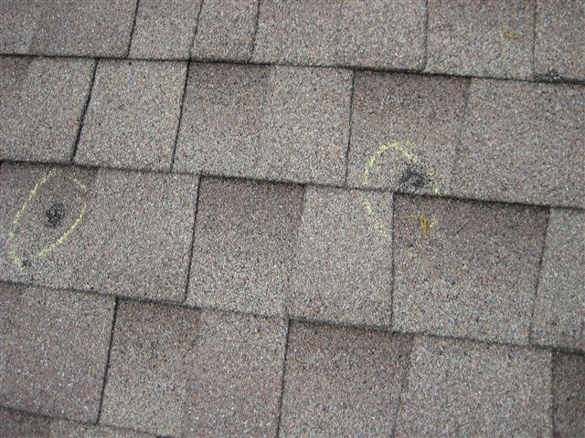 Slide of All Weather Restoration