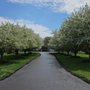 Photo of Slonakers Custom Paving