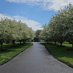 Slonakers Custom Paving