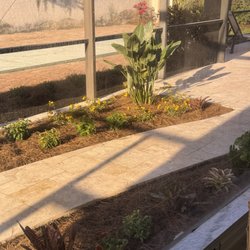 Green Door Nursery - Inside the pool cage - replacing rock