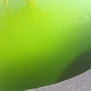 Malibu Pool Service - Weekly pool service. - Pool Cleaners Near Me Malibu Pool Service - Weekly pool service. - Pool Cleaners Near Me