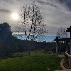Orcutt Hill Trails - Dog area...free free free