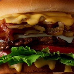 Bacon Cheeseburger Platter with French Fries and Coleslaw