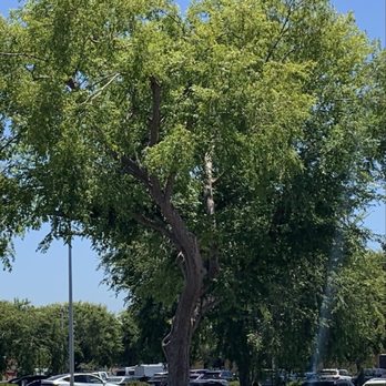 Goodwill Outlet - Outside parking - Thrift Stores Near Me - San Jose, California