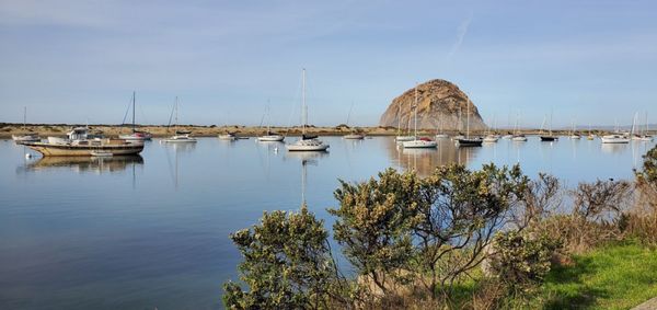 LA-Z-BOY FURNITURE GALLERIES - 35 Photos & 101 Reviews - Furniture