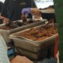 Chuckwagon Cuisine Catering