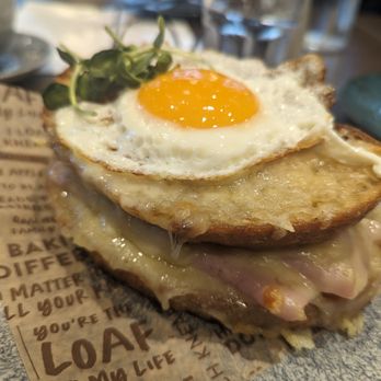 Kneads Bakeshop - Egg Sandwich - Bakeries Near Me - Baltimore, Maryland Kneads Bakeshop - Egg Sandwich - Bakeries Near Me - Baltimore, Maryland