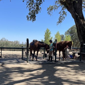 Equine Unlimited - Horseback Riding Near Me - Rescue, California Equine Unlimited - Horseback Riding Near Me - Rescue, California