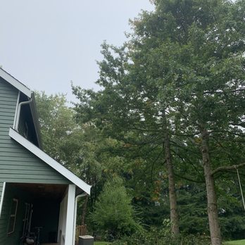 Honest Arborist - Tree Services Near Me