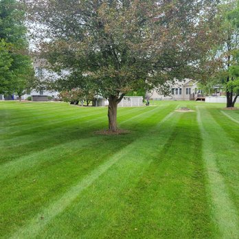 Djr Property Services - a freshly mowed lawn - Lawn Services Near Me Djr Property Services - a freshly mowed lawn - Lawn Services Near Me
