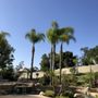 Photo of Rdp Landscape