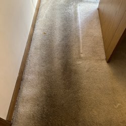 Liotta Carpet Services - Before picture of carpet.
