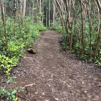 Waihee Ridge Trail - Trail walking - Hiking Near Me - Wailuku, Hawaii Waihee Ridge Trail - Trail walking - Hiking Near Me - Wailuku, Hawaii