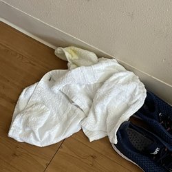 Winkler Court - Soiled towel